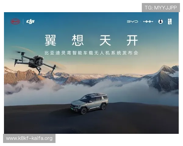天生赢家一触即发k8：新手玩家必看的一触即发赢取胜利的实战指南